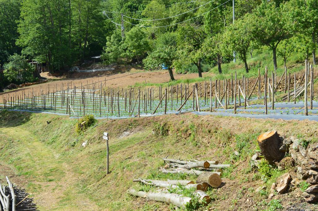 Agriturismo E Turre Serrastretta Kültér fotó