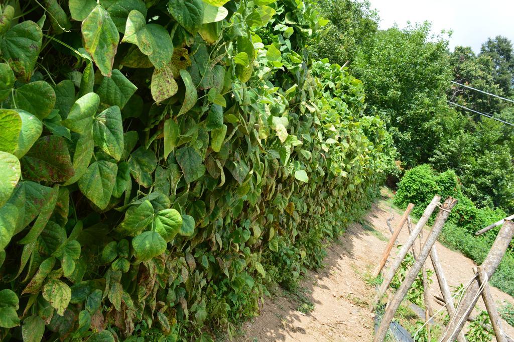 Agriturismo E Turre Serrastretta Kültér fotó