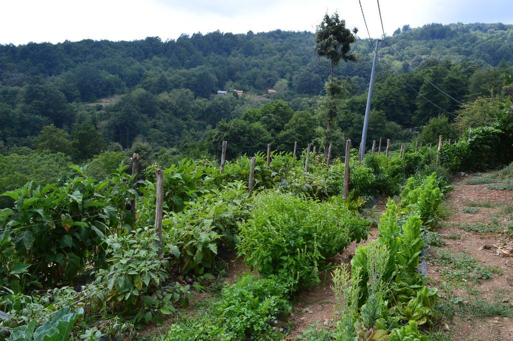 Agriturismo E Turre Serrastretta Kültér fotó